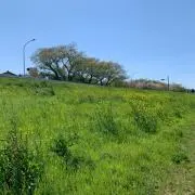 ⭐︎⭐︎⭐︎