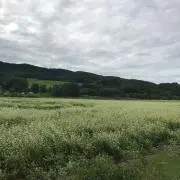 ひろの画像