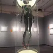 革の画像