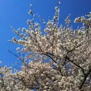 kunkunの画像