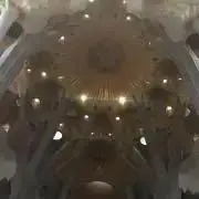 ぼす　断捨離中！の画像