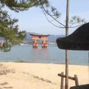 m-upegの画像