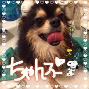 ぴよぴよ