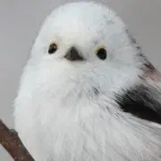 シャンプー