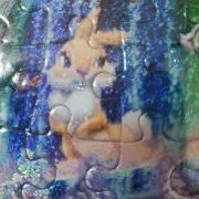 ユーフォルビアの画像