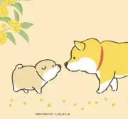☆mgm☆プロフィール必読の画像