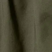 oliveの画像