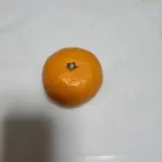 ネコ