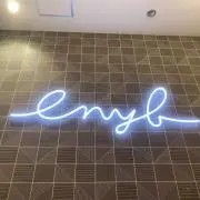 ぽんの画像