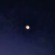 ちの画像