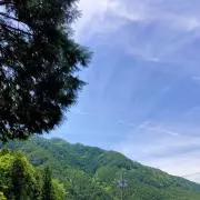 cocoの画像