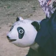 たろの画像