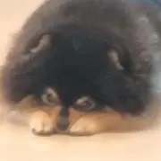 月