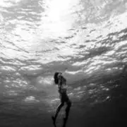 SEA☆の画像
