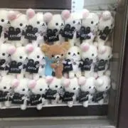 菜由