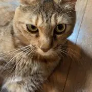TTBの画像