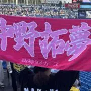 ももの画像