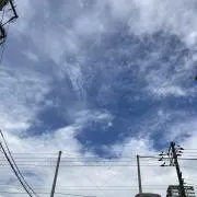ぴっちんの画像