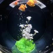 ちくわの画像
