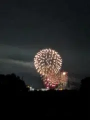 えいむごっとの画像