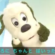 ぴょんの画像