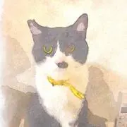もつ