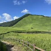ゴンザレフの画像