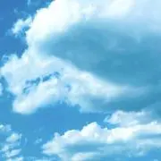 わらびもち⭐︎まとめ買いご相談ください♪の画像