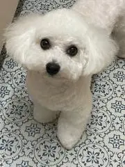みぽりんの画像