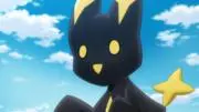 ヴェナリータの画像