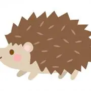 Ria