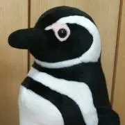 いちぺんの画像