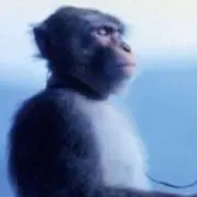 やっちゅーの画像