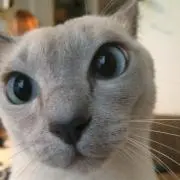 ソルト【プロフ確認お願い致します】の画像