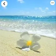 Hの画像