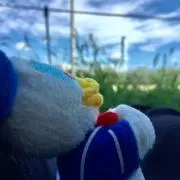 ryumの画像