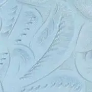 藻 （プロフィールご覧下さい）
