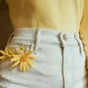 yの画像