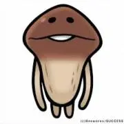 ⭐︎の画像