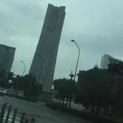 さめたやつ