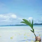 ヒロの画像