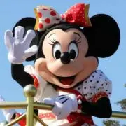 トト（ご購入前にプロフをお読みください）の画像
