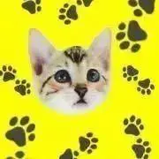 ひまわり　(プロフィールお読み下さい)の画像