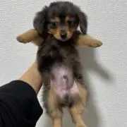 €の画像