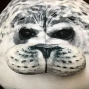 ゆきちゃん断捨離中の画像