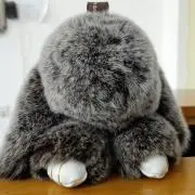 すやちの画像