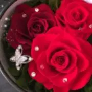 ☆さくら☆の画像