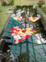 こてつの画像