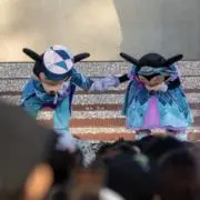 うどんの画像