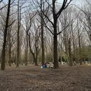 チョコラBBの画像